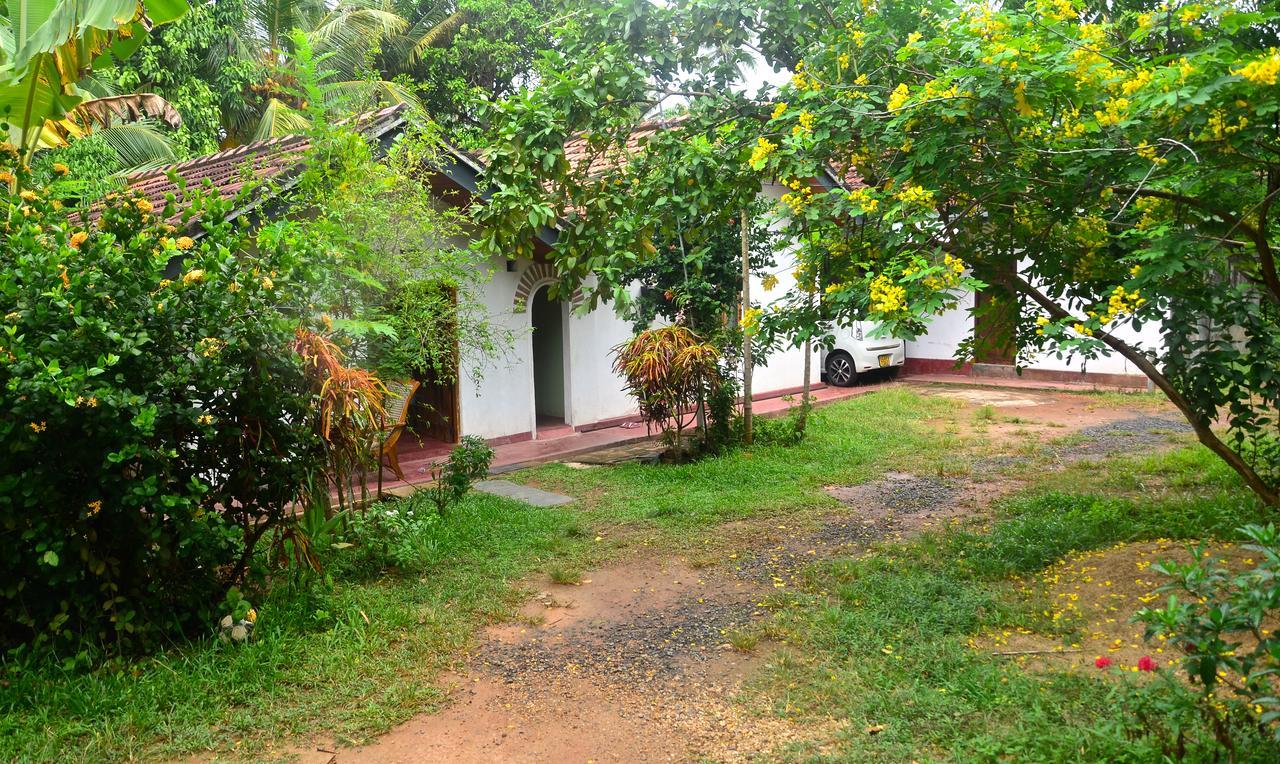 Tropical Paradise Bed & Breakfast Matara Exterior photo